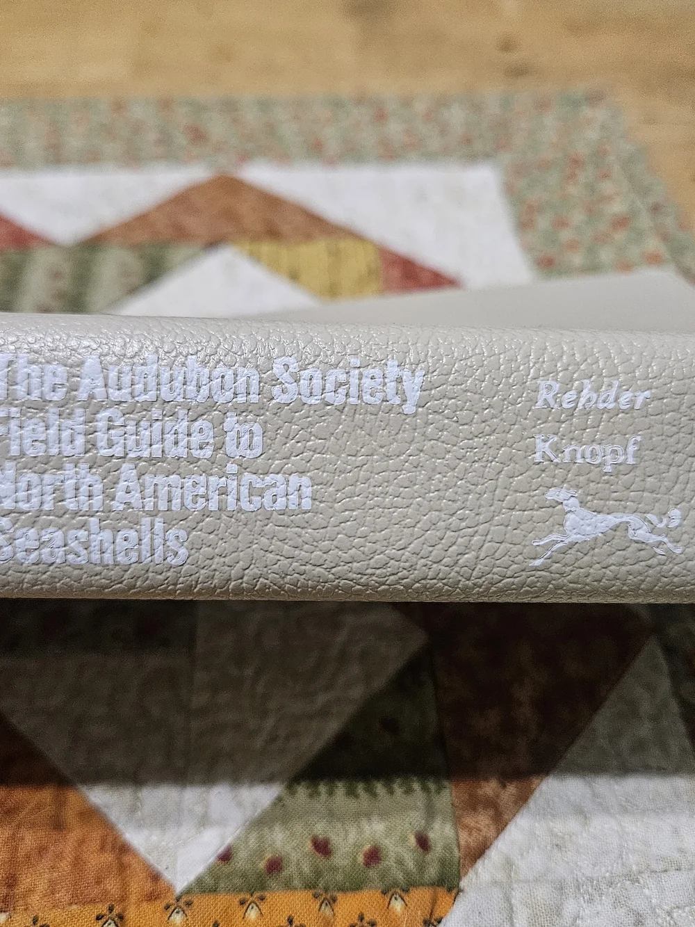 Field Guide to North American Seashells - Cream Softcover